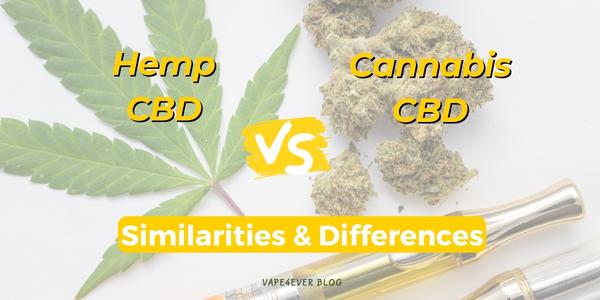 Hemp CBD vs Cannabis CBD: Similarities And Differences Between Them
