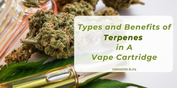 Types and Benefits of Terpenes in A Vape Cartridge