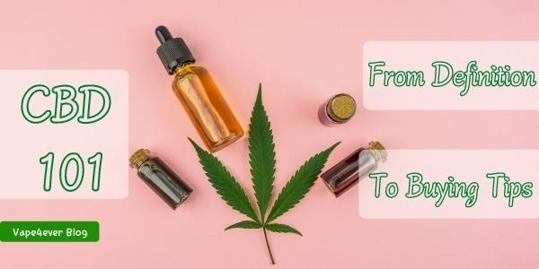 CBD 101: A Beginner’s Guide to Cannabidiol From Definition to Buying Tips