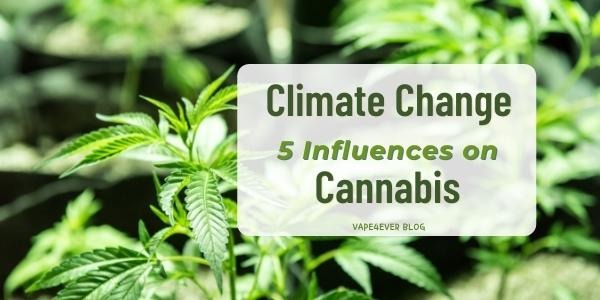 Top 5 Ways in Which Climate Change Could Influence Cannabis